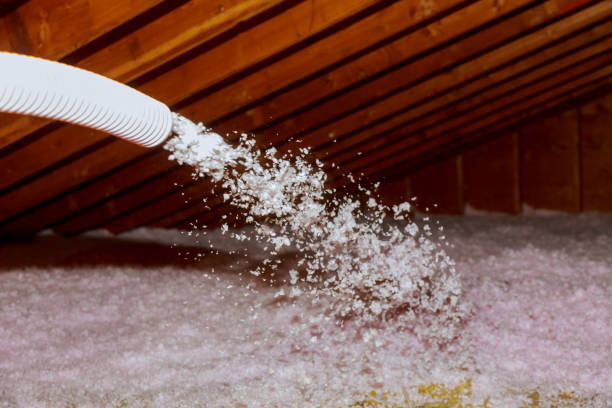 Best Residential Insulation in Campbell, MO