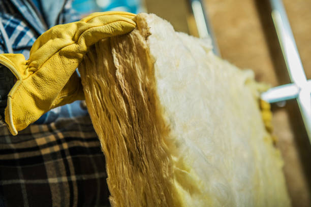 Best Insulation Maintenance and Repair in Campbell, MO