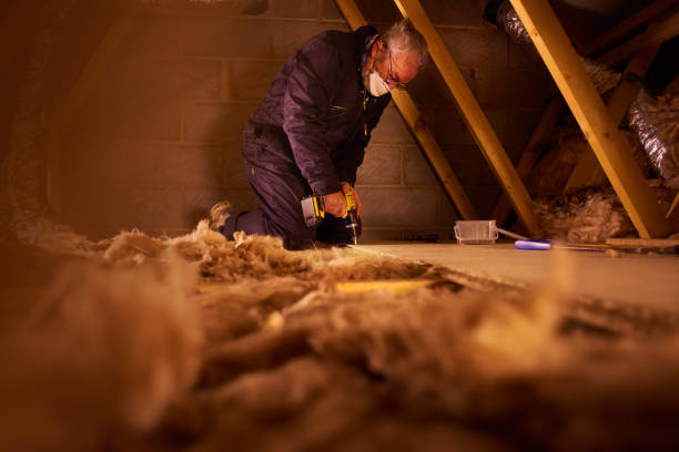Best Insulation Installation Services in Campbell, MO